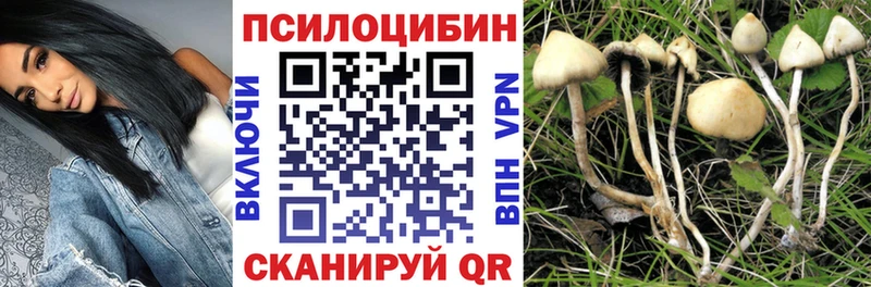 Купить  Мариинск  Галлюциногенные грибы мицелий 